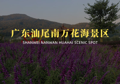 廣東汕尾南萬花海景區(qū)