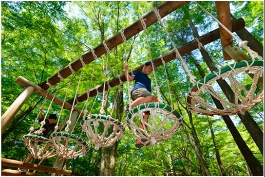 鼎創(chuàng)分享 | 打卡網(wǎng)紅叢林穿越：驚險刺激好玩！