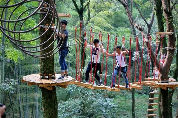 叢林穿越好玩刺激，等你來挑戰(zhàn)！