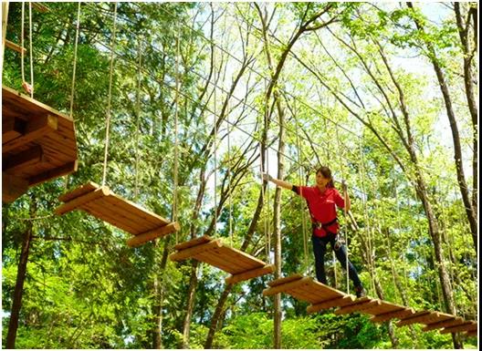 戶外探險項目叢林穿越最受歡迎的項目有哪些
