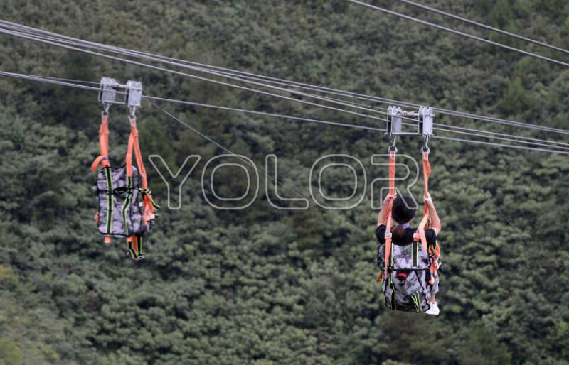 戶外滑索 高空滑索安裝費用 鼎創(chuàng)游樂廠家供應