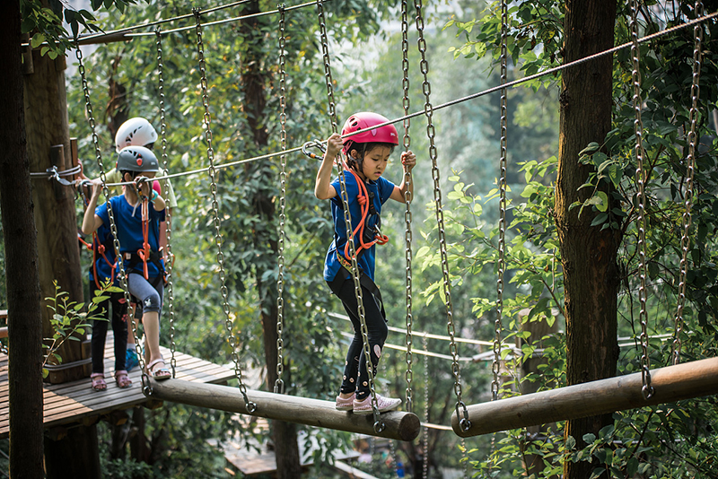 為什么叢林穿越在景區(qū)很受歡迎？