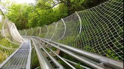 微信圖片_20210810135332 2451acce80b3953c79f9366e6fecab2a.jpg