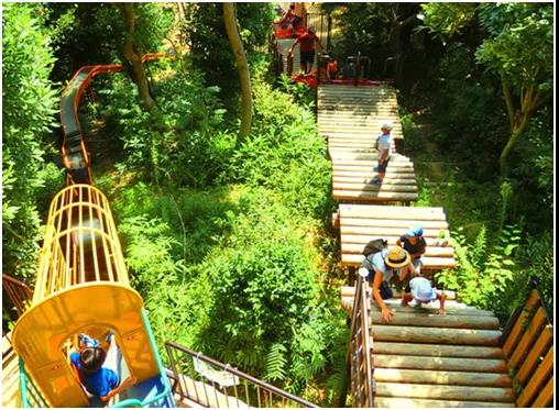 微信圖片_20210810104617 70e1ff547614f8a1ea9b6d155c5c4b30.jpg