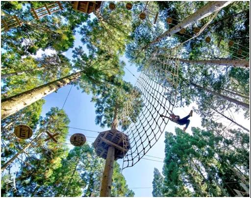 微信圖片_20210810104620 771d105990beade60a2a5c130a2496c2.jpg