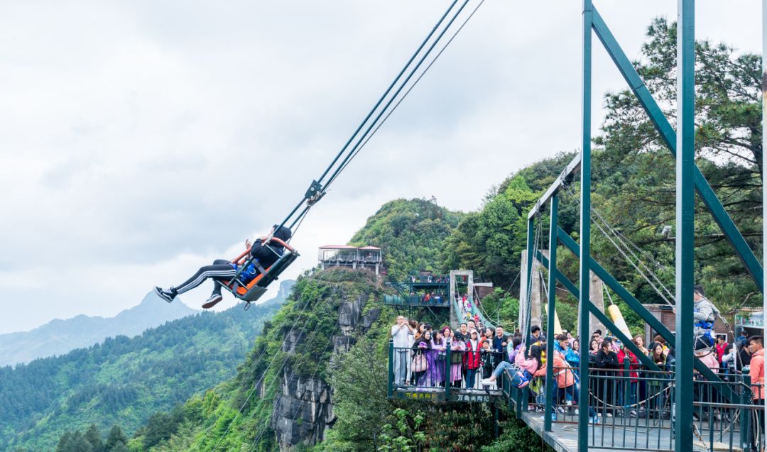 e4 694a3161ac2ba77e5eeaffd366ce6061.jpg