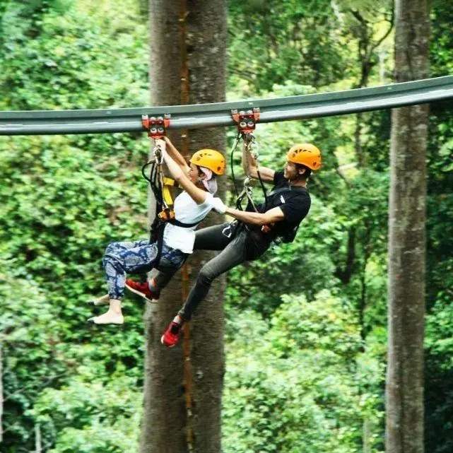 c3 f9018833581c84b105ca07590c21f270.jpg