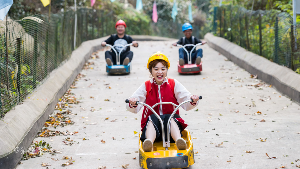 山地滑車(chē) 497c3f52d43d5b2fed4d14d997bbeffb.jpg