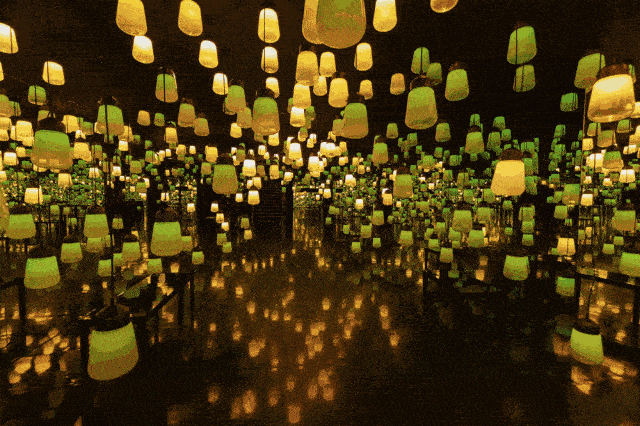 19 03d0024e2cc19e7436ebae3c890d52a8.gif