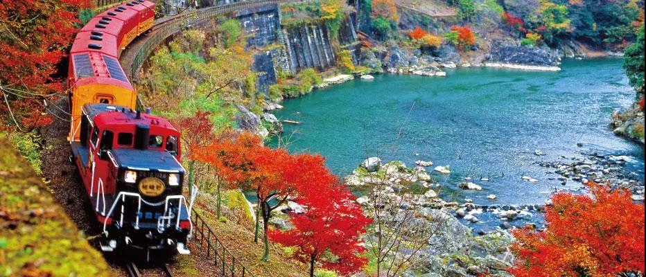 14 1e01d919be9c2d74935483b35a339462.jpg