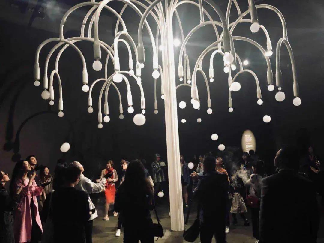 23 5eed81ee37bc5ec62ddaafadcb10f955.jpg