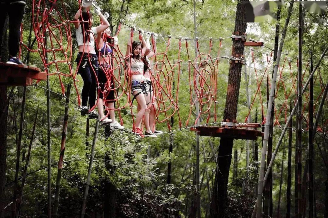 24 fcef2ddd4048dccb7dc9868892d5af61.jpg