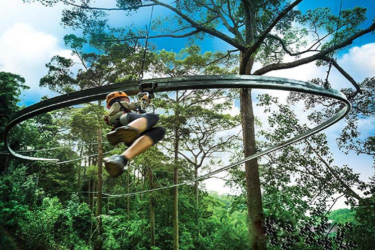 微信截圖_20211204100035 3a9a80925c02a962b73e6f4b9c30976d.png