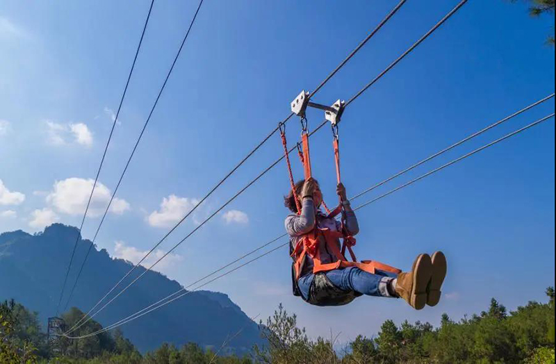 d657b60616010eefcc8f25a87091e049 87f2ab866b7ad12670ba0355555072f6.jpg