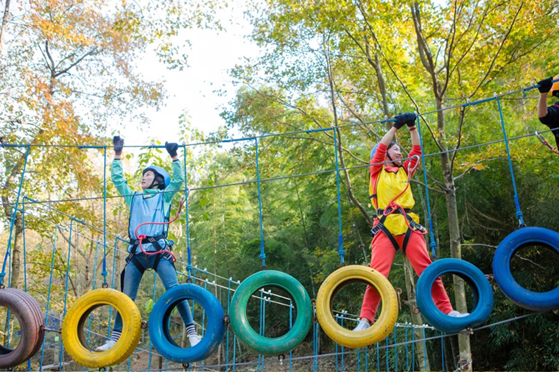 b2 3b6d593e26aef1737f28adda293bd6d1.jpg