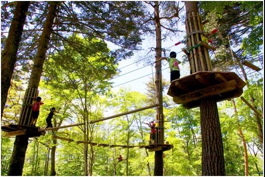 微信圖片_20210810104641 771c8068c103f04576975167ca413cff.jpg