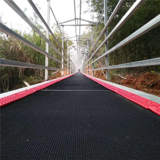 c2 bd43b81cdf608066b7ba9d2dbee5ce02.jpg