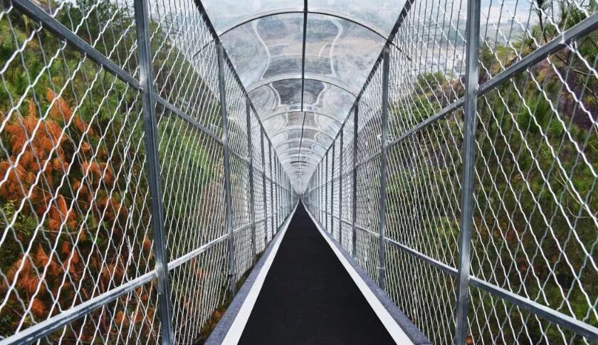 a3a 2ba1eed5828c882d445ee400f8174377.jpg