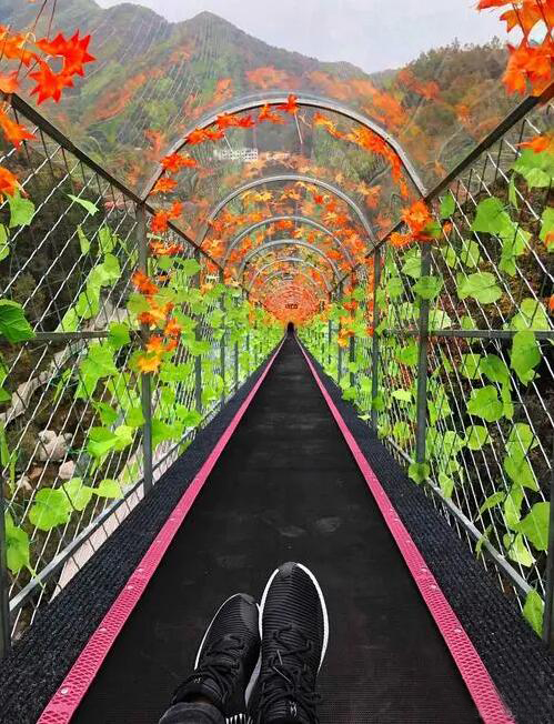 0114d 0068de6988b5816482d946b0ddc9c94f.jpg