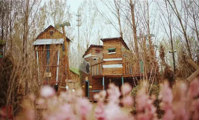 下載 (1) b456073b87543682534db91cca6329eb.jpg