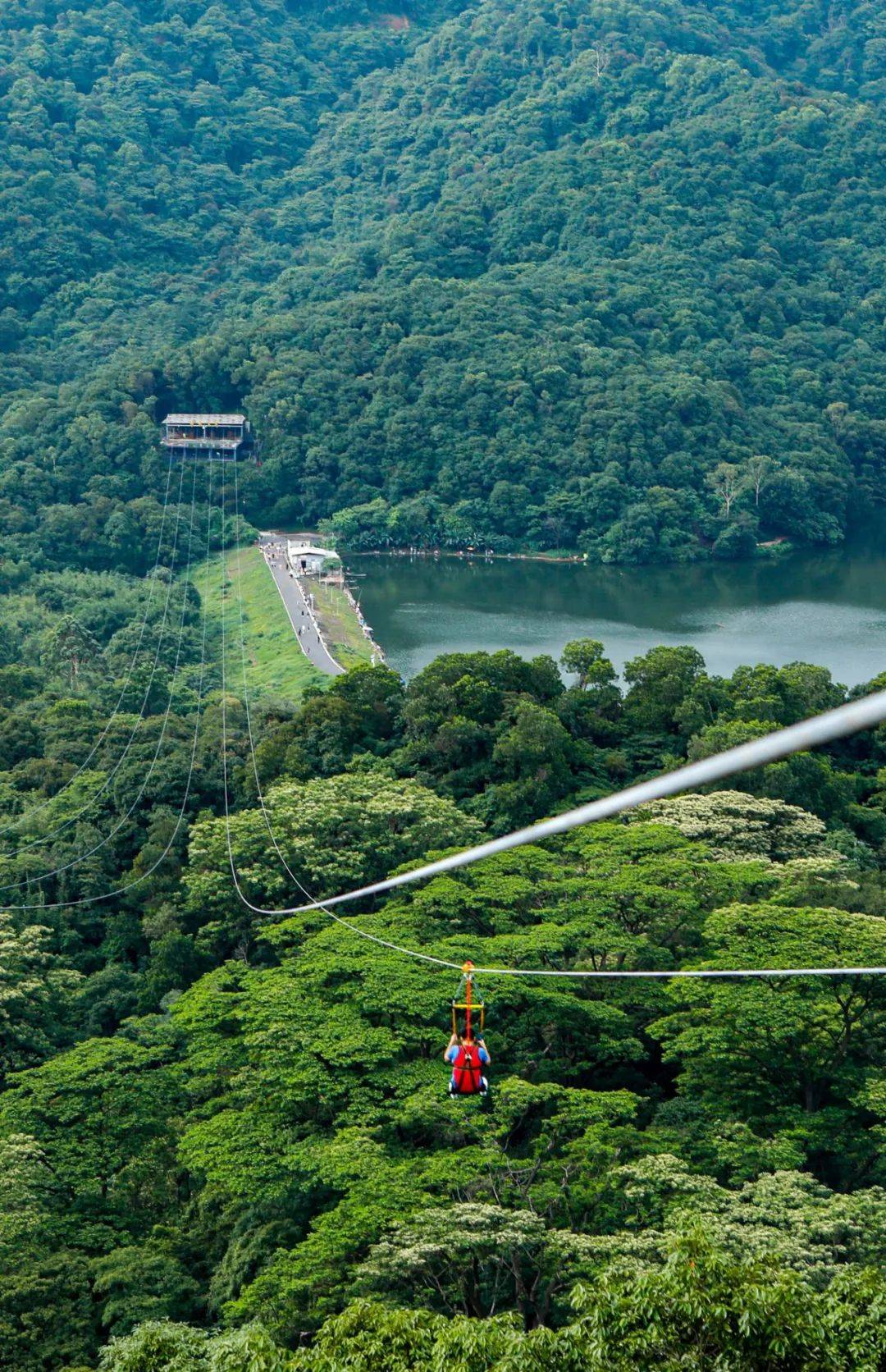滑索游樂設(shè)備廠家分享1500m長「高空滑索」游玩體驗！ 