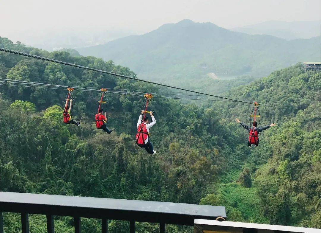 dcc0de1e573c4f01b461a95548d788ef e2281ea1e9743954d5d220237160c0ea.jpeg