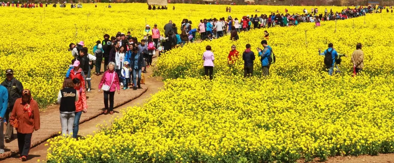 多家旅游在線平臺發(fā)報告稱：清明小長假“花式本地游”成主流