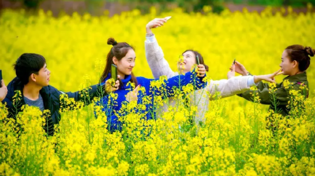 53 8d2c3108b5a6add826af79d16903cea3.png