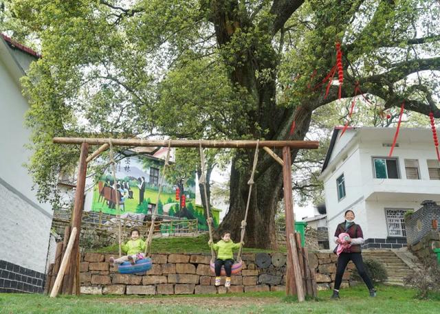 “共享”時(shí)代來襲，農(nóng)莊如何發(fā)展新形態(tài)？