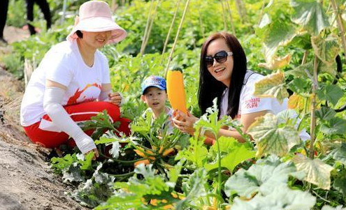 微信截圖_20220726113515 87fb3eed62837eac0fd81e133fd3a78e.png