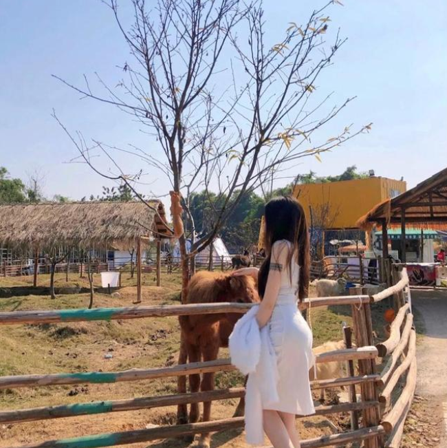 微信截圖_20220808151222 522ee17b3ac7e7ca2d1b3996d73a5f65.png