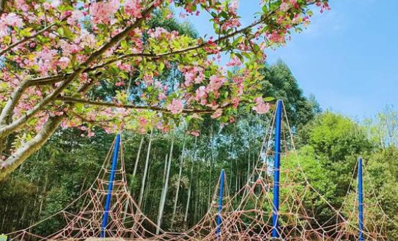 經(jīng)典設(shè)計方向|戶外無動力親子樂園打造有竅門