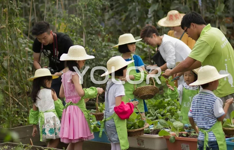 戶外兒童樂(lè)園設(shè)計(jì)│農(nóng)莊如何做好規(guī)劃設(shè)計(jì)？
